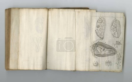 Foto de Diario antiguo de medicina. Un viejo libro médico con sus páginas en exhibición - Imagen libre de derechos
