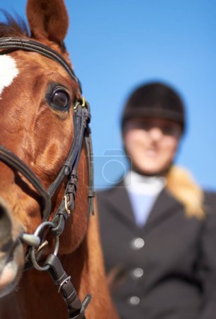 Photo for Horse, woman and closeup for horseriding ready to start sport, competition and training with rider. Outdoor, sun and woman with helmet riding horses in a show with female equestrian and animals. - Royalty Free Image