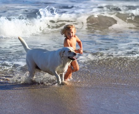Téléchargez les photos : Enfant, chien et plage avec enfant jouant avec animal de compagnie courant sur le sable près de l'océan. Vacances, enfants et chiens nageant au bord de l'eau avec bonheur et sourire d'un tout-petit en vacances avec des animaux domestiques. - en image libre de droit