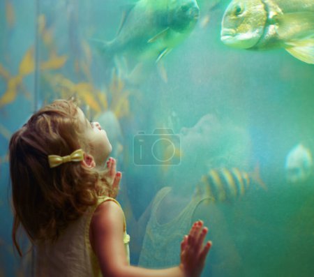 Foto de Niña, acuario y niño mirando los peces para el aprendizaje, la curiosidad y el conocimiento, el desarrollo y la naturaleza. Educación, acuario y niños observando la vida marina o animales nadando bajo el agua en el oceanario - Imagen libre de derechos