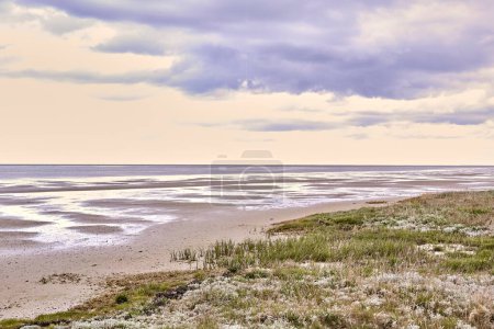 Photo for East coast of Jutland, Denmark. The east coast of Jutland facing Kattegat - Royalty Free Image