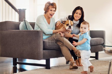 Photo for Family bonding time and everyones invited. an adorable baby girl, her mother, grandmother and their dog bonding at home - Royalty Free Image