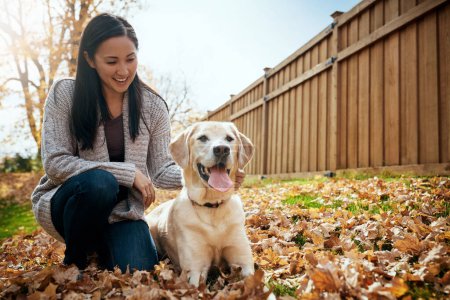 Foto de Es un gran día para salir a jugar. una joven atractiva divirtiéndose con su perro en un día de otoño en un jardín - Imagen libre de derechos