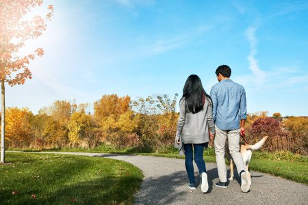 Photo for Dogs teach us how to build relationships. a loving young couple taking their dog for a walk through the park - Royalty Free Image