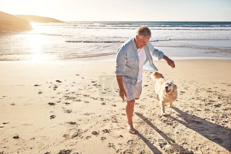 Foto de Déjalos ir y corre libre. un hombre maduro llevando a su perro a dar un paseo por la playa - Imagen libre de derechos