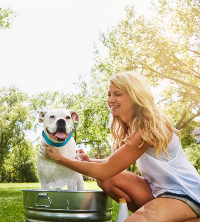 Téléchargez les photos : Faites-en une autre occasion pour nouer des liens. une femme baignant son chien de compagnie dehors un jour d'été - en image libre de droit