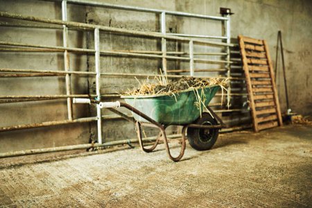 Foto de Usa una carretilla para transportar cosas por la granja. una carretilla llena de tierra y heno dentro de un granero en una granja - Imagen libre de derechos