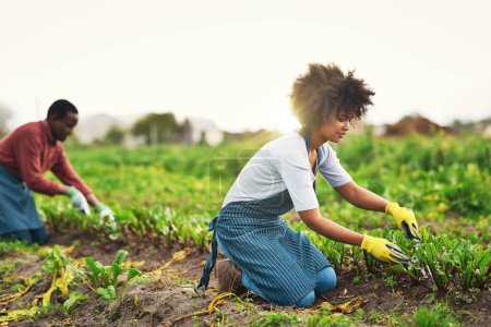 Foto de Trabajar los campos y cosechar las recompensas. una atractiva joven agricultora plantando semillas en su viñedo con su marido en el fondo - Imagen libre de derechos