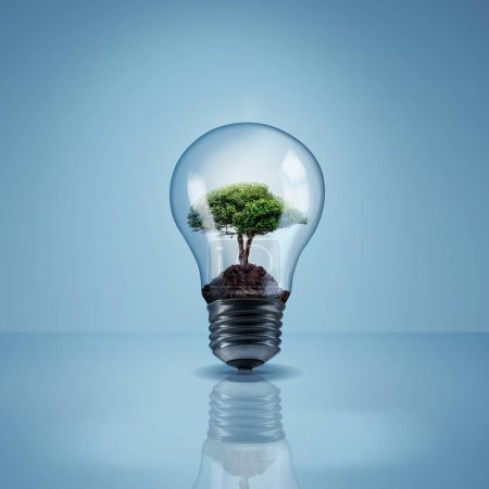 Photo for Environment, tree in light bulb and save energy, eco friendly and sustainability with renewable resources on blue background. Sustainable development, innovation and electricity with mockup space. - Royalty Free Image