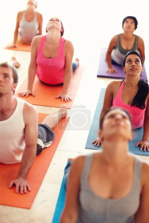 Photo for Their fitness levels are peaking. A group of fit people arching their backs during a yoga class - Royalty Free Image