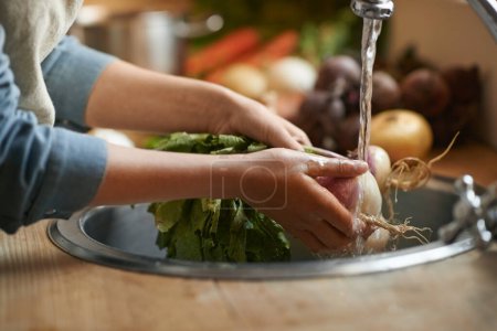 Photo for Washing them off before its time to cook. a woman washing vegetables in a sink - Royalty Free Image