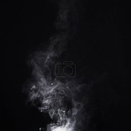 Téléchargez les photos : Fumée grise, fond blanc et studio sans personne avec du brouillard dans l'air. Fumer, tourbillon de smog et isolé avec l'art fumeur de la cigarette ou la pollution avec un espace graphique pour la créativité de l'encens. - en image libre de droit