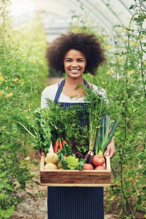 Téléchargez les photos : Tout dans cette ferme est cultivé de façon biologique. une jolie jeune agricultrice portant une caisse de produits frais - en image libre de droit