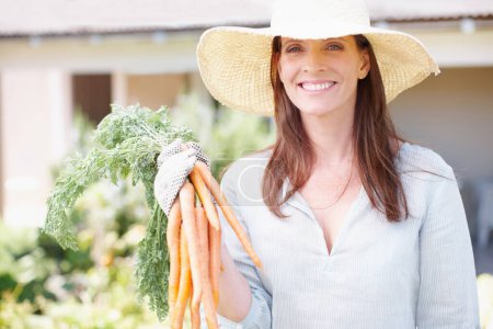 Photo for Carrots are a great source of vitamin A. A beautiful woman holds up a bunch of carrots while standing in her garden - Royalty Free Image