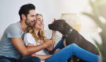 Photo for Smile, relax or happy couple with a pet on house sofa bonding or hugging with trust or loyalty together. Dog, animal lovers or woman enjoys playing with cute pitbull puppy with care on couch. - Royalty Free Image