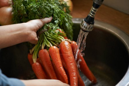 Photo for Washing them off before its time to cook. Cropped closeup shot of a woman washing carrots in a sink - Royalty Free Image