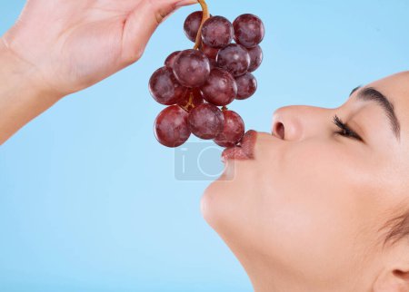 Téléchargez les photos : Ce sont des raisins. Plan studio d'une jolie jeune femme mordant dans un bouquet de raisins sur un fond bleu - en image libre de droit