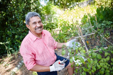 Téléchargez les photos : Je les ai cultivés moi-même. un homme âgé heureux jardinage dans son jardin - en image libre de droit