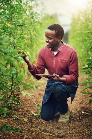 Photo for Technology made farming so much easier. a handsome young male farmer using a tablet while checking his crops - Royalty Free Image