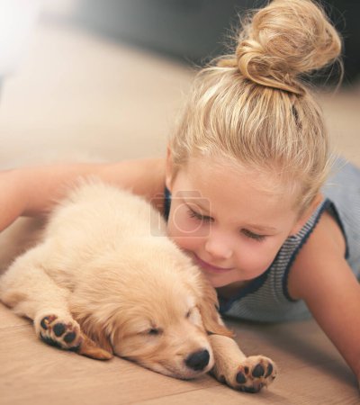 Photo for Girl child hug her puppy, relax at home and happy with sleeping golden retriever dog, friends and peace. Pet care, love and young, calm female kid with her domestic animal lying on wood floor. - Royalty Free Image