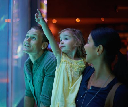 Photo for Family, aquarium and child pointing at fish for learning, curiosity or knowledge, bonding or care. Mother, fishtank and happy kid with father watching marine animals swim underwater in oceanarium - Royalty Free Image