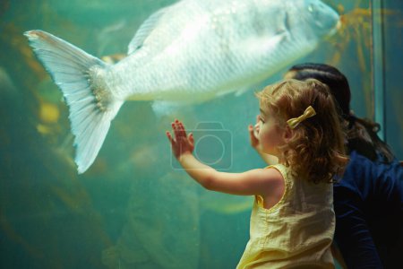 Foto de Madre, acuario y niña mirando a los peces para el aprendizaje, la curiosidad y el conocimiento, el vínculo y la naturaleza. Mamá, pecera y niño viendo la vida marina o animales nadan bajo el agua en el oceanario de vacaciones - Imagen libre de derechos