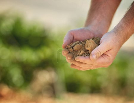 Photo for Making a living from the earth. a farmer holding soil - Royalty Free Image