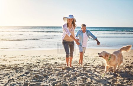 Téléchargez les photos : Couple heureux, tenant la main et à la plage avec un chien pour la marche et les voyages de retraite en Indonésie. Sourire, ludique et âgé homme et femme sur une promenade à la mer avec un animal de compagnie pour le jeu et les vacances. - en image libre de droit