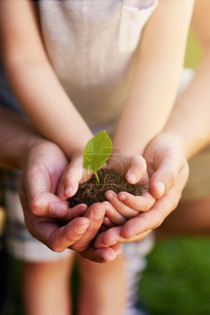 Umwelt, Menschen, die eine Pflanze in der Erde und im Freien mit Linsenfackeln wachsen. Ökologie oder Nachhaltigkeit, umweltfreundlich oder Wachstum und Hände von Vater mit Kind halten grünen Sämling mit Familie.