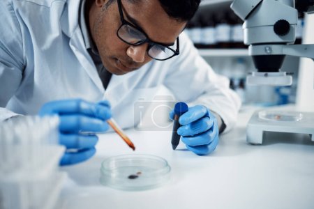 Photo for Blood tells the story best. a young scientist conducting medical research on blood in a laboratory - Royalty Free Image
