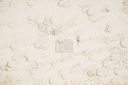 Photo for Can you feel the texture. a grainy white wall indoors - Royalty Free Image