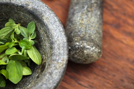 Photo for Plant cooking, mortar and pestle for herbs on table top in kitchen. Vegetables, food and equipment for crushing basil leaf, plants or spices for gourmet meal, seasoning and flavor for healthy diet - Royalty Free Image