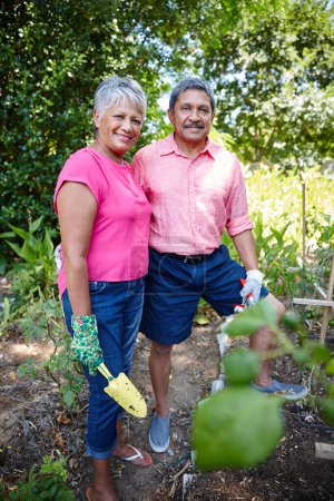 Téléchargez les photos : On jardine ensemble depuis le jour de notre mariage. un heureux couple de personnes âgées jardinage ensemble dans leur jardin - en image libre de droit