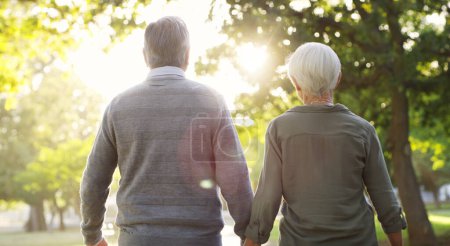 Photo for Senior couple, walking and outdoor at a park with a love, care and support from back. A elderly man and woman holding hands in nature for a walk, quality time and healthy marriage or retirement. - Royalty Free Image