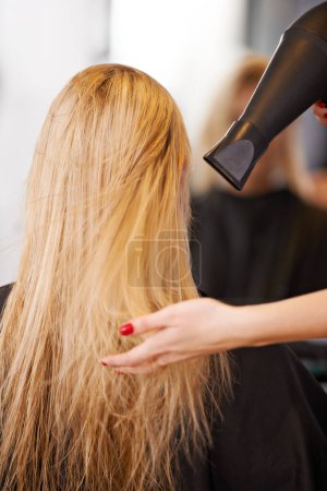Foto de Cuidando su cabello. Una joven peinada por una peluquera - Imagen libre de derechos