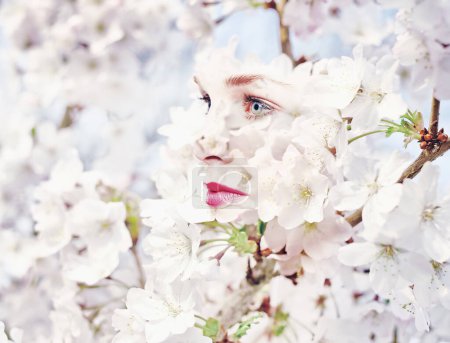 Photo for Woman, flowers and double exposure with cherry blossom tree in nature outdoor. Spring, female model and creative art with flower and beauty with blooming or winter plants overlay with a lady thinking. - Royalty Free Image