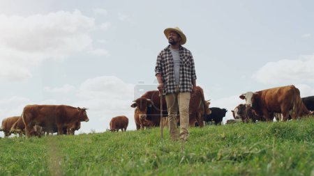 Foto de Agricultura, vaca y hombre negro pensando en la granja, caminando con palo y maqueta agrícola. Agricultor de tierras, ganado vacuno y macho africano que come ganado en campos de pastos para la producción de leche, carne de vacuno y carne - Imagen libre de derechos