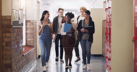 Photo for Happy, school diversity and students in a hallway for education, learning and talking. Smile, conversation and friends speaking while walking to class from a break and studying together as a group. - Royalty Free Image