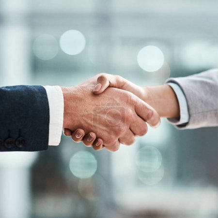 Photo for Business people, handshake and corporate meeting, welcome and introduction or lawyer agreement and success. Professional man, partner or clients shaking hands in thank you, interview or legal deal. - Royalty Free Image