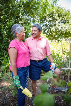 Photo for Like their garden, their love keeps growing. a happy senior couple gardening together in their backyard - Royalty Free Image