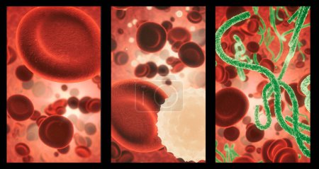 Téléchargez les photos : Covide, le sang et la structure cellulaire de la maladie gros plan en série pour l'investigation médicale ou de la recherche. Virus, bactéries et soins de santé avec une vue au microscope d'échantillons de molécules vivantes pour la biologie. - en image libre de droit