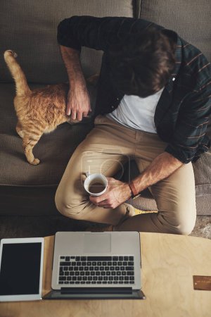 Photo for Laptop, coffee and man with cat on sofa to bond, relax and shopping online with credit card. Computer, animal and top view of male person rubbing kitten pet with care and drink latte in living room - Royalty Free Image