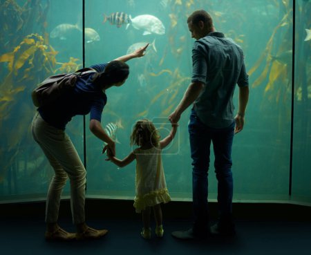 Téléchargez les photos : Famille, aquarium et tenir la main tout en pointant vers les poissons pour apprendre, curiosité ou connaissance, coller ou prendre soin. Père, fishtank et fille avec mère regardant les animaux marins sous l'eau dans la vue arrière - en image libre de droit