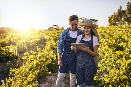 Photo for Making the season a fruitful one with smart technology. a young man and woman using a digital tablet together on a farm - Royalty Free Image