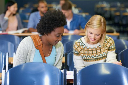 Photo for Total dedication to higher learning. two female college students working together in a lecture hall - Royalty Free Image
