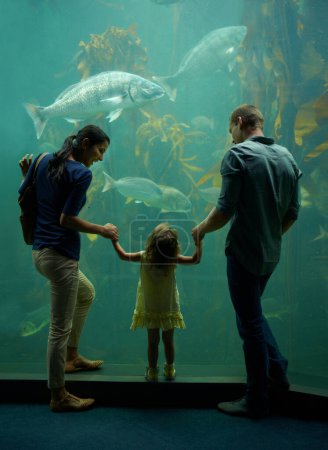 Téléchargez les photos : Aquarium, famille et tenir la main tout en regardant les poissons pour l'apprentissage, les soins et les vacances, collage ou éducation. Mère, fishtank et fille avec père regarder la vie marine sous l'eau dans l'océanarium. - en image libre de droit