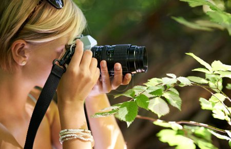Téléchargez les photos : Trouver la beauté dans la plus petite des choses. une jolie jeune femme prenant des photos à l'extérieur dans la forêt - en image libre de droit