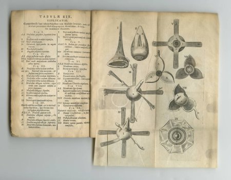 Foto de Un viejo libro de anatomía. Un viejo libro de anatomía con sus páginas en exhibición - Imagen libre de derechos