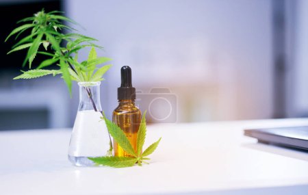 Photo for Marijuana leaves, CBD oil and lab table for medical research, pharma study and development for healthcare. Hemp plant, medicine bottle and pharmaceutical innovation on desk in laboratory for wellness. - Royalty Free Image