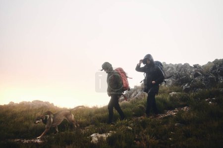Téléchargez les photos : Nous sommes toujours en mission tous les trois. deux amis et un chien en randonnée dans les montagnes par une journée brumeuse - en image libre de droit